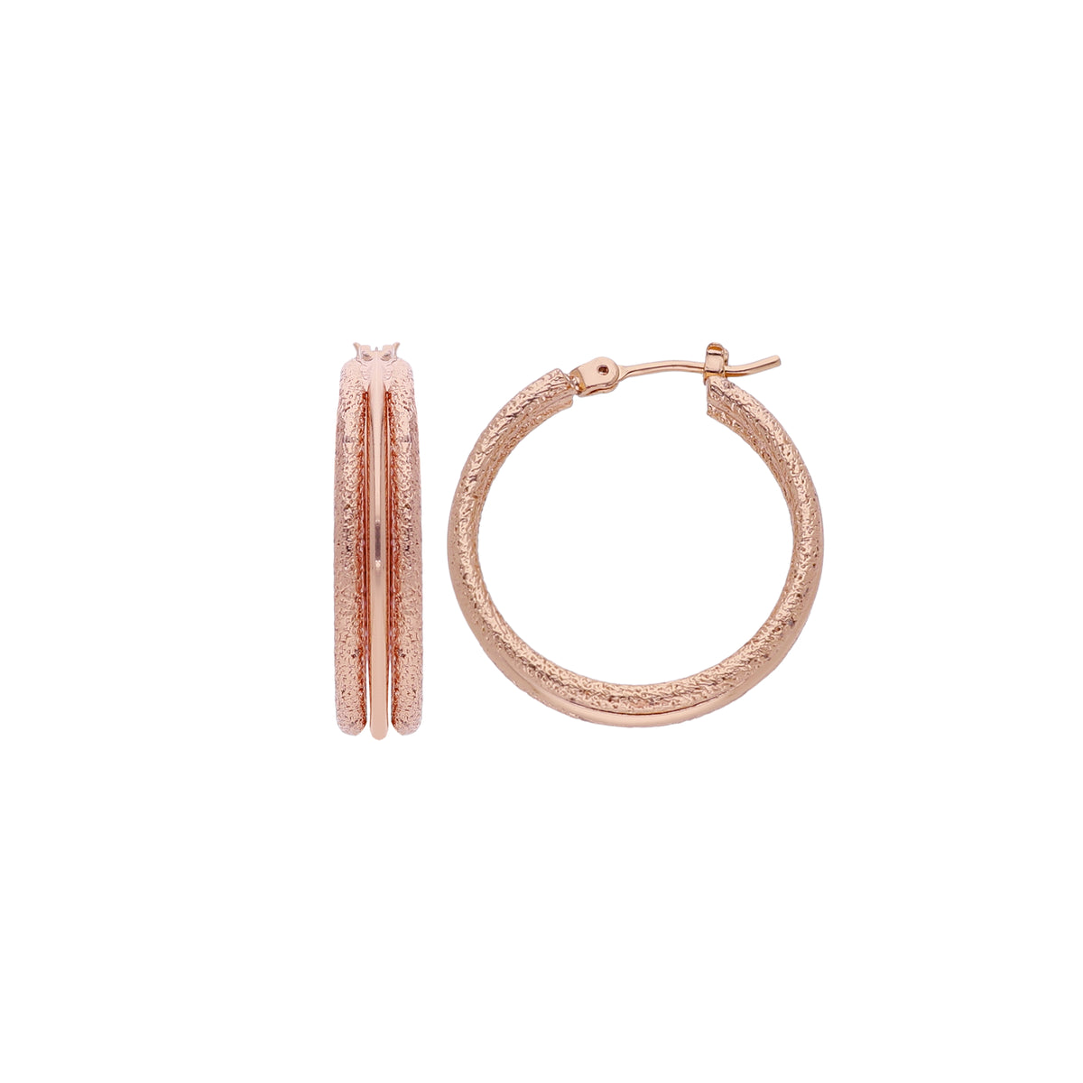 Double Hoop Earring