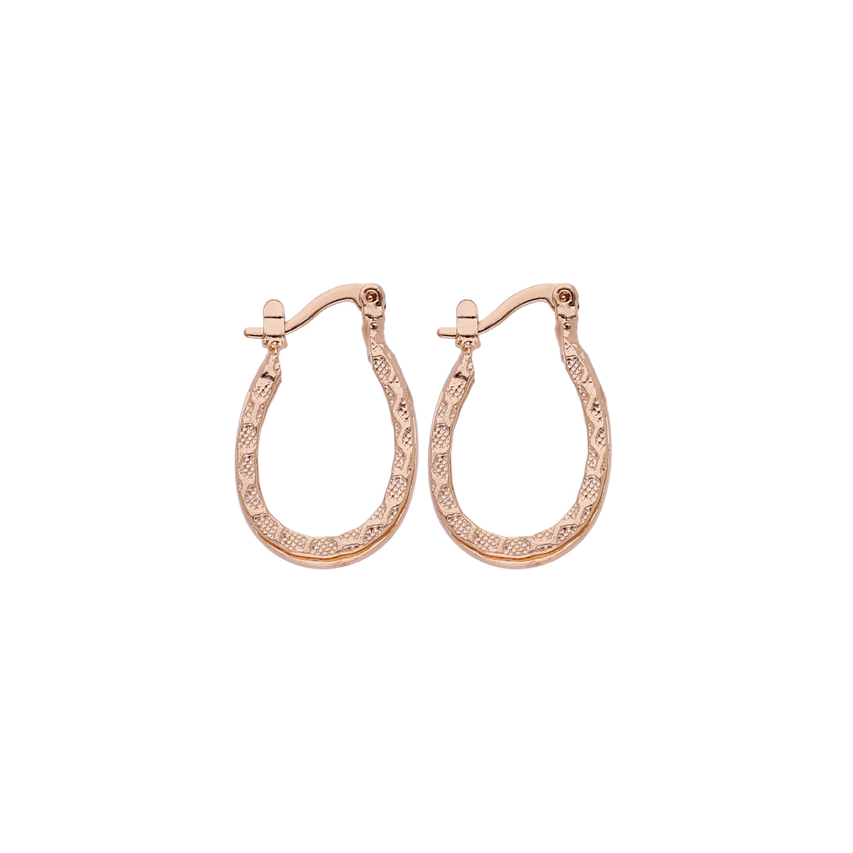 Double Round Hoop Earring