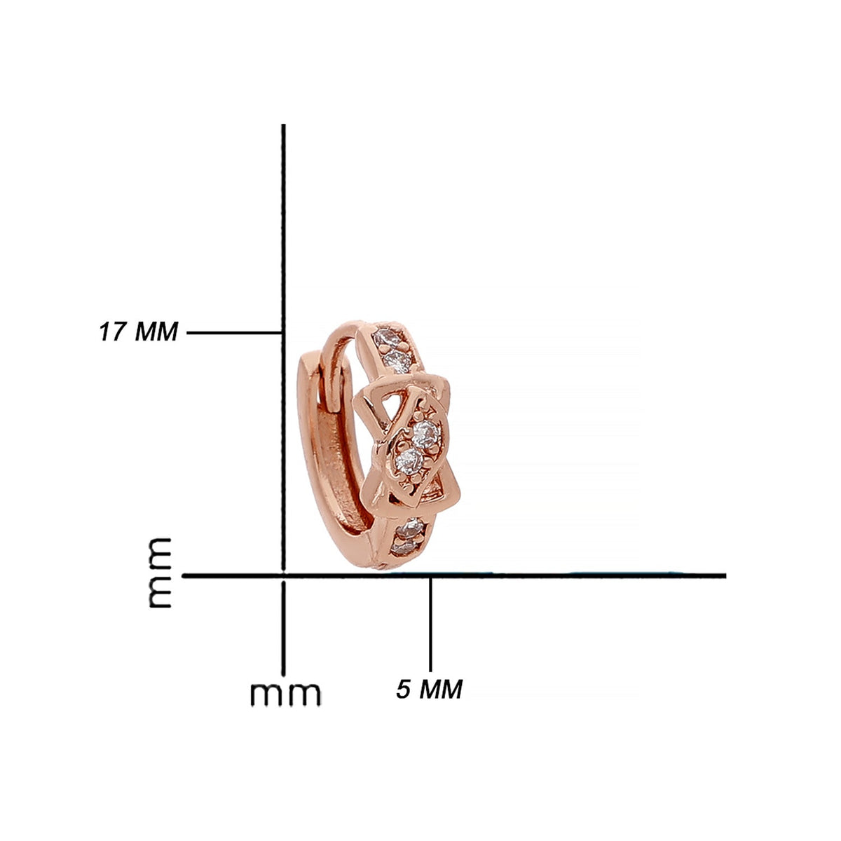 Rose Gold Plated Party Hoop Earrings