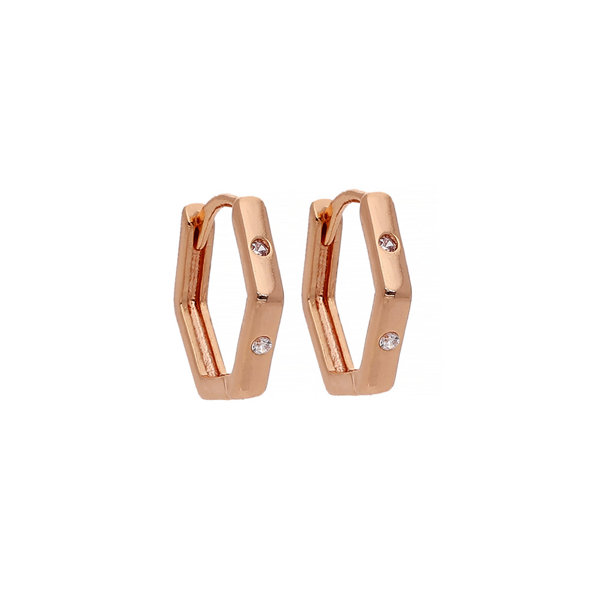 Rose Gold Plated Delicate Earrings